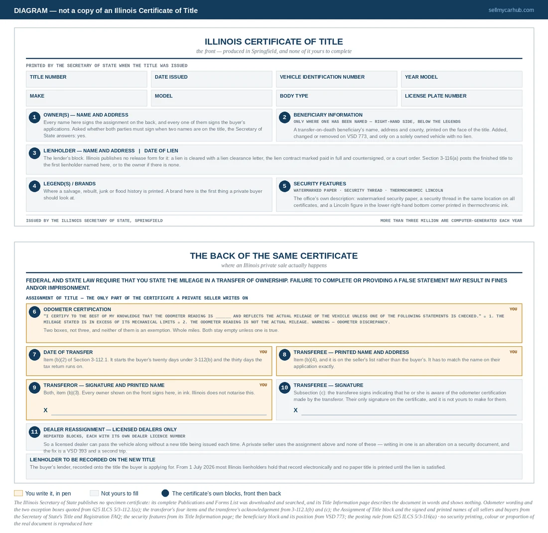 A layout diagram of an Illinois Certificate of Title, front and back. The front is shaded grey as blocks a seller never completes: title and control numbers, vehicle description, owner names and address, lienholder area, legends, an optional beneficiary information block on the right-hand side, and the security features the Secretary of State describes - watermarked paper, a security thread and a thermochromic Lincoln figure in the lower right corner. The back shows the Assignment of Title shaded amber, with the odometer certification sentence and its two exception boxes, the transferor signature and printed name, the date of transfer, the transferee printed name and address, and the transferee acknowledgement signature, followed by grey dealer reassignment blocks.