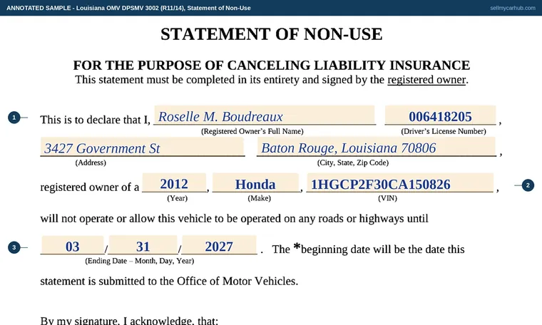 Top of our filled-in example of Louisiana DPSMV 3002, Statement of Non-Use
