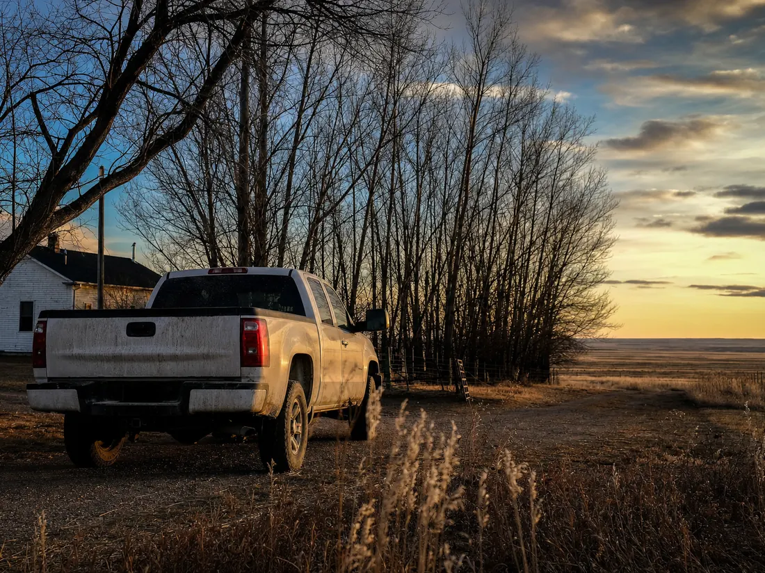 Pickup by a Nebraska farmhouse with a windbreak of cottonwoods and open plains - selling a car in Nebraska